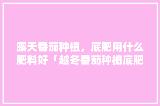露天番茄种植，底肥用什么肥料好「越冬番茄种植底肥怎么施肥」 露天番茄种植，底肥用什么肥料好「越冬番茄种植底肥怎么施肥」 番茄种植技巧