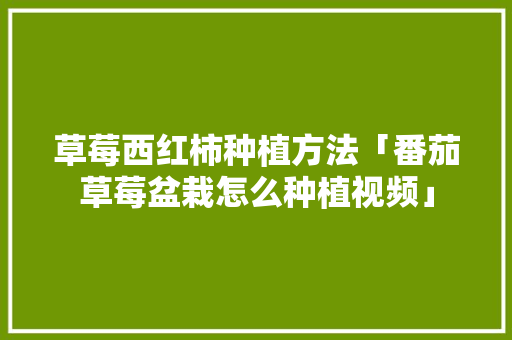 草莓西红柿种植方法「番茄草莓盆栽怎么种植视频」 草莓西红柿种植方法「番茄草莓盆栽怎么种植视频」 农业常识