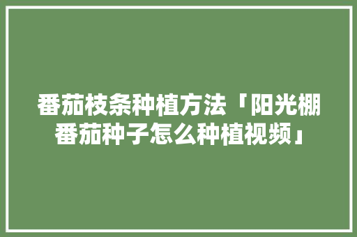 番茄枝条种植方法「阳光棚番茄种子怎么种植视频」 番茄枝条种植方法「阳光棚番茄种子怎么种植视频」 农业常识