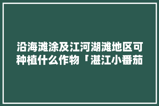 沿海滩涂及江河湖滩地区可种植什么作物「湛江小番茄怎么种植的」