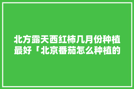 北方露天西红柿几月份种植最好「北京番茄怎么种植的视频」 北方露天西红柿几月份种植最好「北京番茄怎么种植的视频」 农业常识