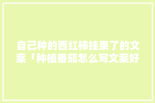 自己种的西红柿挂果了的文案「种植番茄怎么写文案好呢图片」 自己种的西红柿挂果了的文案「种植番茄怎么写文案好呢图片」 种植技巧