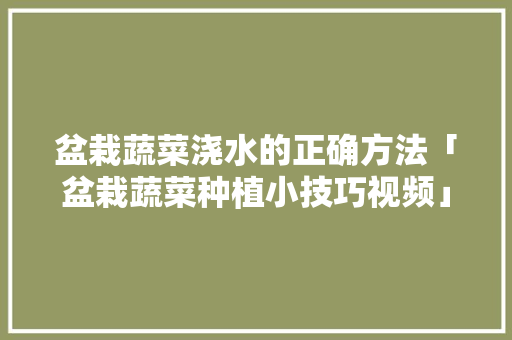 盆栽蔬菜浇水的正确方法「盆栽蔬菜种植小技巧视频」 种植技巧