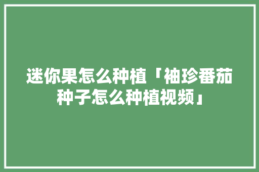 迷你果怎么种植「袖珍番茄种子怎么种植视频」 迷你果怎么种植「袖珍番茄种子怎么种植视频」 植物种类
