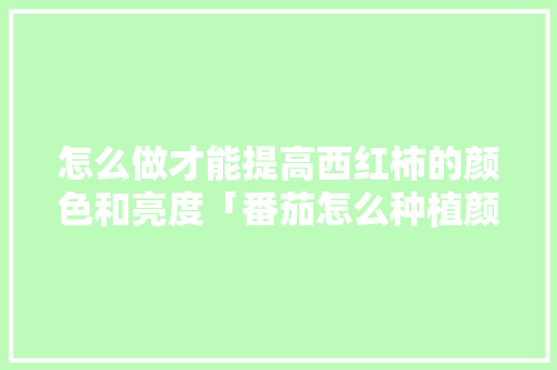 怎么做才能提高西红柿的颜色和亮度「番茄怎么种植颜色好看」 怎么做才能提高西红柿的颜色和亮度「番茄怎么种植颜色好看」 种植技巧