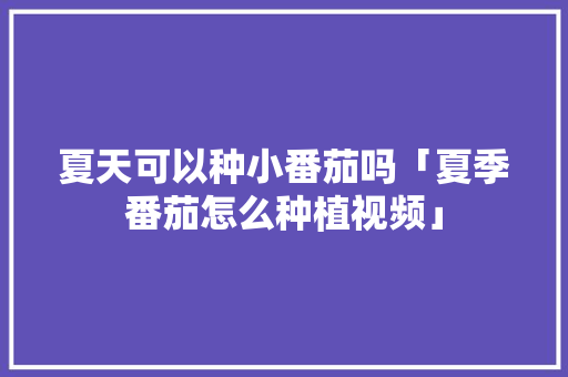 夏天可以种小番茄吗「夏季番茄怎么种植视频」 夏天可以种小番茄吗「夏季番茄怎么种植视频」 农业常识