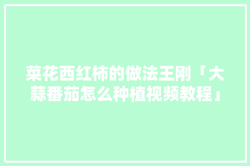 菜花西红柿的做法王刚「大蒜番茄怎么种植视频教程」