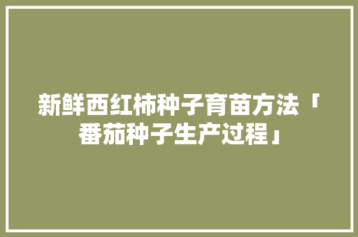 新鲜西红柿种子育苗方法「番茄种子生产过程」 新鲜西红柿种子育苗方法「番茄种子生产过程」 番茄种植技巧