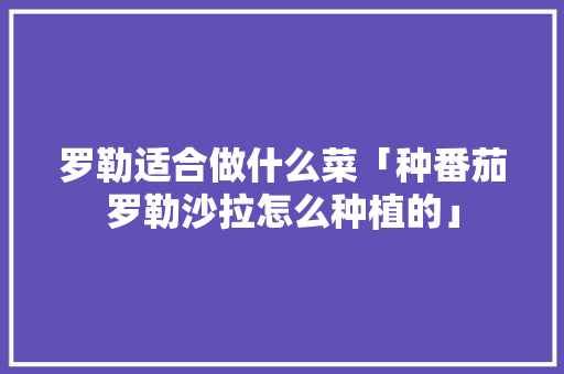 罗勒适合做什么菜「种番茄罗勒沙拉怎么种植的」 罗勒适合做什么菜「种番茄罗勒沙拉怎么种植的」 土壤施肥