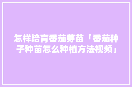 怎样培育番茄芽苗「番茄种子种苗怎么种植方法视频」 怎样培育番茄芽苗「番茄种子种苗怎么种植方法视频」 土壤施肥
