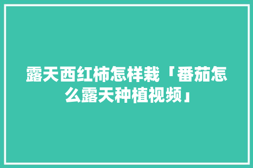 露天西红柿怎样栽「番茄怎么露天种植视频」 露天西红柿怎样栽「番茄怎么露天种植视频」 农业常识