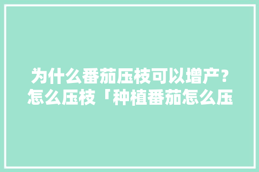 为什么番茄压枝可以增产？怎么压枝「种植番茄怎么压枝视频」 为什么番茄压枝可以增产？怎么压枝「种植番茄怎么压枝视频」 土壤施肥