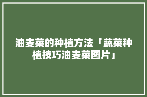 油麦菜的种植方法「蔬菜种植技巧油麦菜图片」 油麦菜的种植方法「蔬菜种植技巧油麦菜图片」 种植技巧