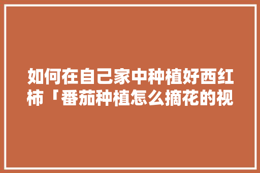 如何在自己家中种植好西红柿「番茄种植怎么摘花的视频」 花朵知识 如何在自己家中种植好西红柿「番茄种植怎么摘花的视频」 如何在自己家中种植好西红柿「番茄种植怎么摘花的视频」 花朵知识