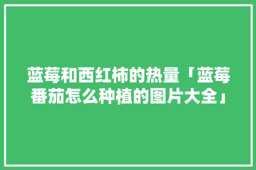 蓝莓和西红柿的热量「蓝莓番茄怎么种植的图片大全」 蓝莓和西红柿的热量「蓝莓番茄怎么种植的图片大全」 植物种类
