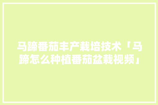 马蹄番茄丰产栽培技术「马蹄怎么种植番茄盆栽视频」 马蹄番茄丰产栽培技术「马蹄怎么种植番茄盆栽视频」 番茄病虫害防治