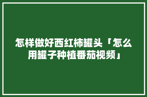怎样做好西红柿罐头「怎么用罐子种植番茄视频」 怎样做好西红柿罐头「怎么用罐子种植番茄视频」 农业常识