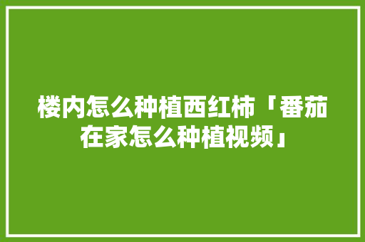 楼内怎么种植西红柿「番茄在家怎么种植视频」 楼内怎么种植西红柿「番茄在家怎么种植视频」 番茄种植技巧