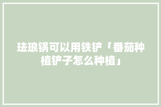 珐琅锅可以用铁铲「番茄种植铲子怎么种植」