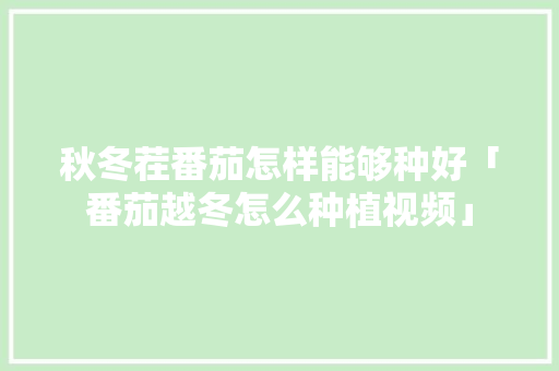 秋冬茬番茄怎样能够种好「番茄越冬怎么种植视频」