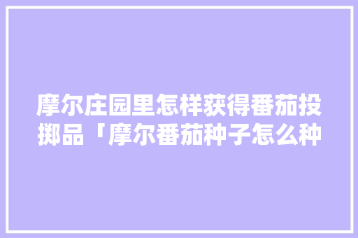摩尔庄园里怎样获得番茄投掷品「摩尔番茄种子怎么种植的」 摩尔庄园里怎样获得番茄投掷品「摩尔番茄种子怎么种植的」 土壤施肥