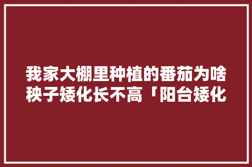 我家大棚里种植的番茄为啥秧子矮化长不高「阳台矮化番茄怎么种植好看」 我家大棚里种植的番茄为啥秧子矮化长不高「阳台矮化番茄怎么种植好看」 土壤施肥