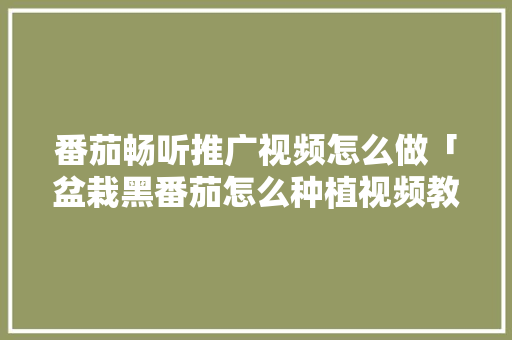 番茄畅听推广视频怎么做「盆栽黑番茄怎么种植视频教程」 番茄畅听推广视频怎么做「盆栽黑番茄怎么种植视频教程」 番茄种植技巧
