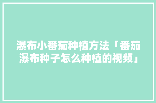 瀑布小番茄种植方法「番茄瀑布种子怎么种植的视频」