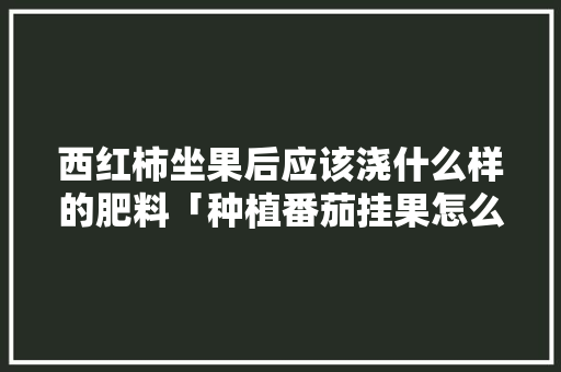 西红柿坐果后应该浇什么样的肥料「种植番茄挂果怎么管理好」 西红柿坐果后应该浇什么样的肥料「种植番茄挂果怎么管理好」 农业常识
