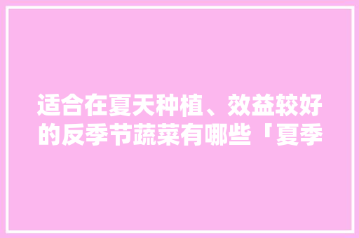适合在夏天种植、效益较好的反季节蔬菜有哪些「夏季蔬菜种植小技巧图片大全」 适合在夏天种植、效益较好的反季节蔬菜有哪些「夏季蔬菜种植小技巧图片大全」 番茄种植技巧