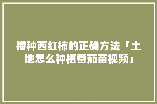 播种西红柿的正确方法「土地怎么种植番茄苗视频」 播种西红柿的正确方法「土地怎么种植番茄苗视频」 番茄病虫害防治