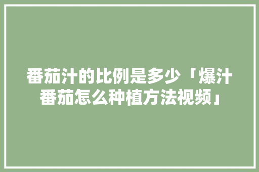 番茄汁的比例是多少「爆汁番茄怎么种植方法视频」