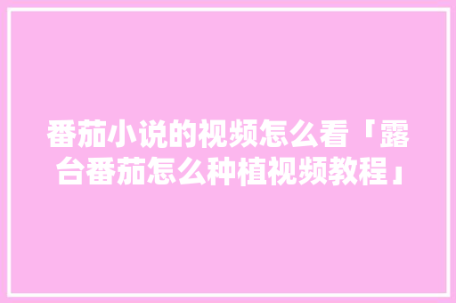 番茄小说的视频怎么看「露台番茄怎么种植视频教程」 番茄小说的视频怎么看「露台番茄怎么种植视频教程」 花朵知识