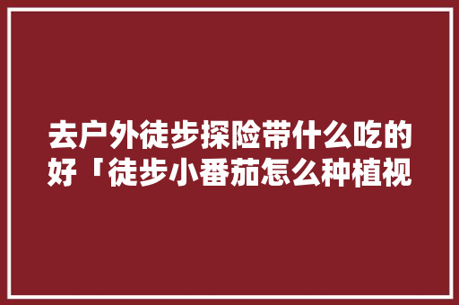 去户外徒步探险带什么吃的好「徒步小番茄怎么种植视频」