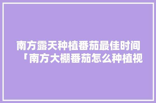 南方露天种植番茄最佳时间「南方大棚番茄怎么种植视频」 南方露天种植番茄最佳时间「南方大棚番茄怎么种植视频」 农业常识