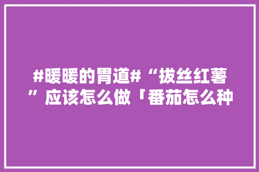 #暖暖的胃道#“拔丝红薯”应该怎么做「番茄怎么种植口感甜蜜好吃」 #暖暖的胃道#“拔丝红薯”应该怎么做「番茄怎么种植口感甜蜜好吃」 花朵知识