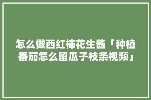 怎么做西红柿花生酱「种植番茄怎么留瓜子枝条视频」