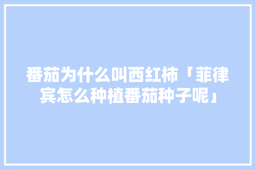 番茄为什么叫西红柿「菲律宾怎么种植番茄种子呢」 番茄为什么叫西红柿「菲律宾怎么种植番茄种子呢」 番茄病虫害防治
