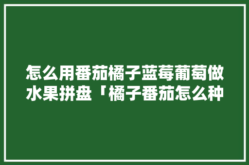 怎么用番茄橘子蓝莓葡萄做水果拼盘「橘子番茄怎么种植的视频」 怎么用番茄橘子蓝莓葡萄做水果拼盘「橘子番茄怎么种植的视频」 植物种类