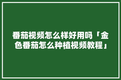 番茄视频怎么样好用吗「金色番茄怎么种植视频教程」 番茄视频怎么样好用吗「金色番茄怎么种植视频教程」 种植技巧