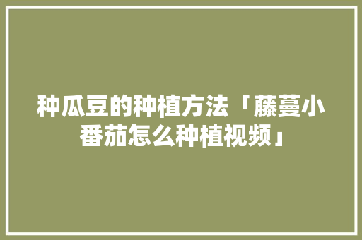 种瓜豆的种植方法「藤蔓小番茄怎么种植视频」 种瓜豆的种植方法「藤蔓小番茄怎么种植视频」 土壤施肥