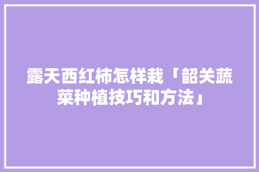 露天西红柿怎样栽「韶关蔬菜种植技巧和方法」 露天西红柿怎样栽「韶关蔬菜种植技巧和方法」 种植技巧