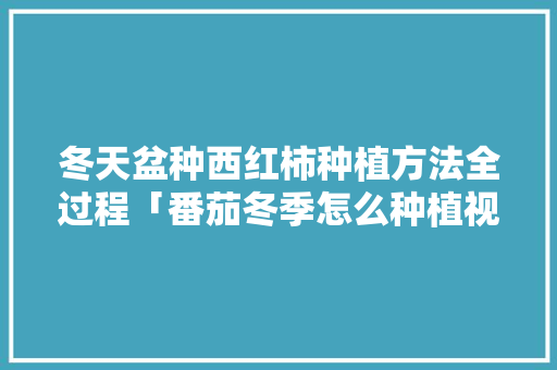 冬天盆种西红柿种植方法全过程「番茄冬季怎么种植视频」 冬天盆种西红柿种植方法全过程「番茄冬季怎么种植视频」 农业常识