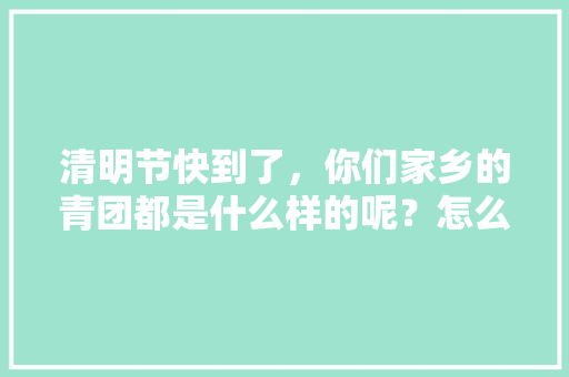 清明节快到了，你们家乡的青团都是什么样的呢？怎么做的「松花番茄怎么种植的视频教程」 清明节快到了，你们家乡的青团都是什么样的呢？怎么做的「松花番茄怎么种植的视频教程」 种植技巧