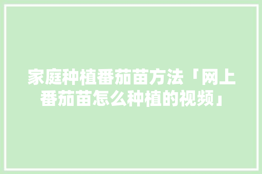 家庭种植番茄苗方法「网上番茄苗怎么种植的视频」 家庭种植番茄苗方法「网上番茄苗怎么种植的视频」 土壤施肥