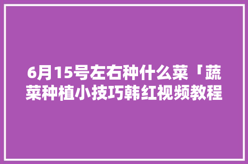 6月15号左右种什么菜「蔬菜种植小技巧韩红视频教程」 6月15号左右种什么菜「蔬菜种植小技巧韩红视频教程」 番茄病虫害防治