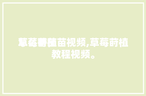 怎么莳植草莓番茄苗视频,草莓莳植教程视频。