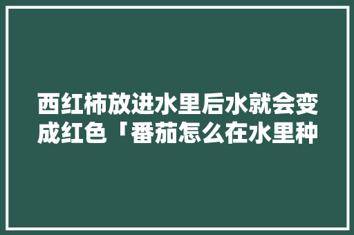 西红柿放进水里后水就会变成红色「番茄怎么在水里种植视频」 西红柿放进水里后水就会变成红色「番茄怎么在水里种植视频」 番茄病虫害防治