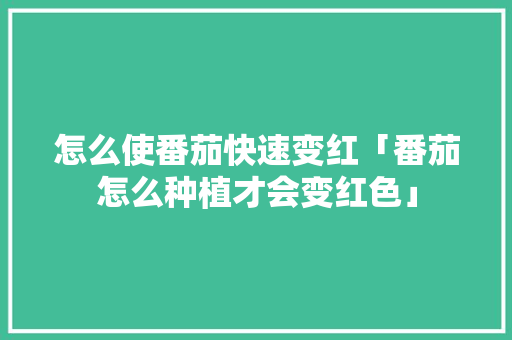 怎么使番茄快速变红「番茄怎么种植才会变红色」 怎么使番茄快速变红「番茄怎么种植才会变红色」 植物种类