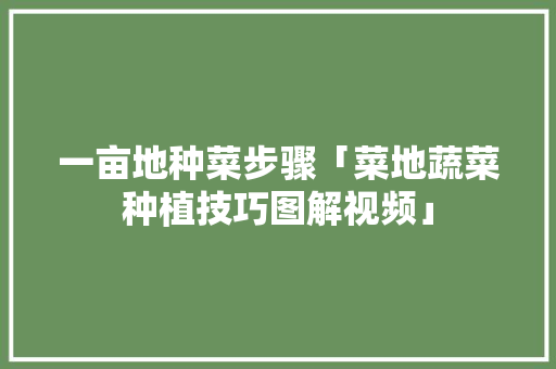 一亩地种菜步骤「菜地蔬菜种植技巧图解视频」 一亩地种菜步骤「菜地蔬菜种植技巧图解视频」 花朵知识